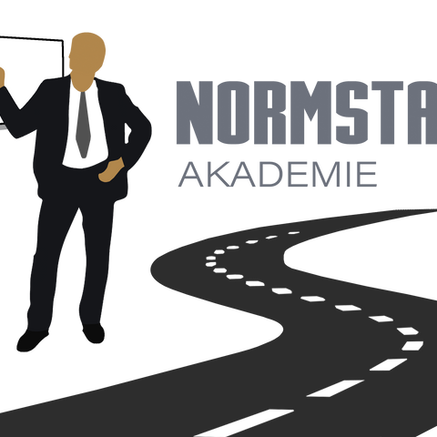 Coaching Ganztägig ( Scheibenaustauschsystem ) Basic Theorie & Praxis
