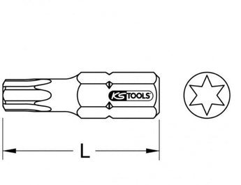 Torx-Bit Edelstahl mit Außensechskant (DIN 3126 / ISO 1173 – C 6,3)